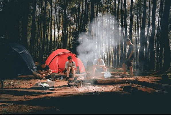 Pengumuman Thumbnail